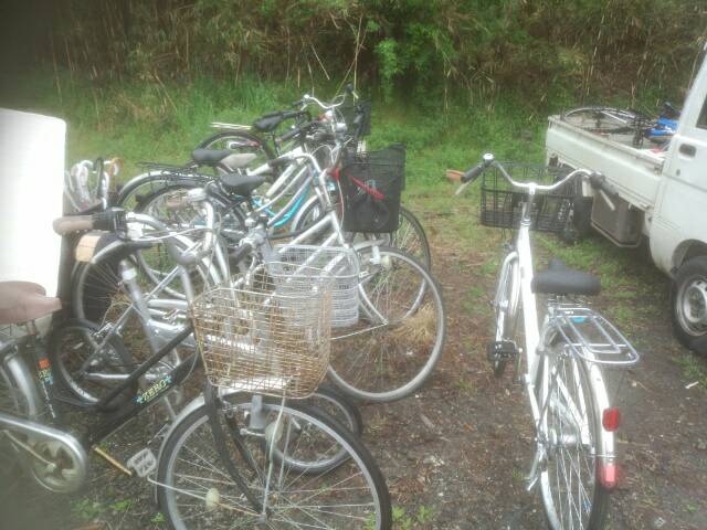 大量の自転車を回収致しました。